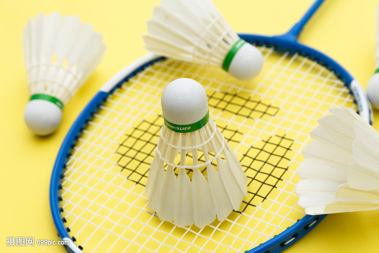 轻本土主力 轻本土主力