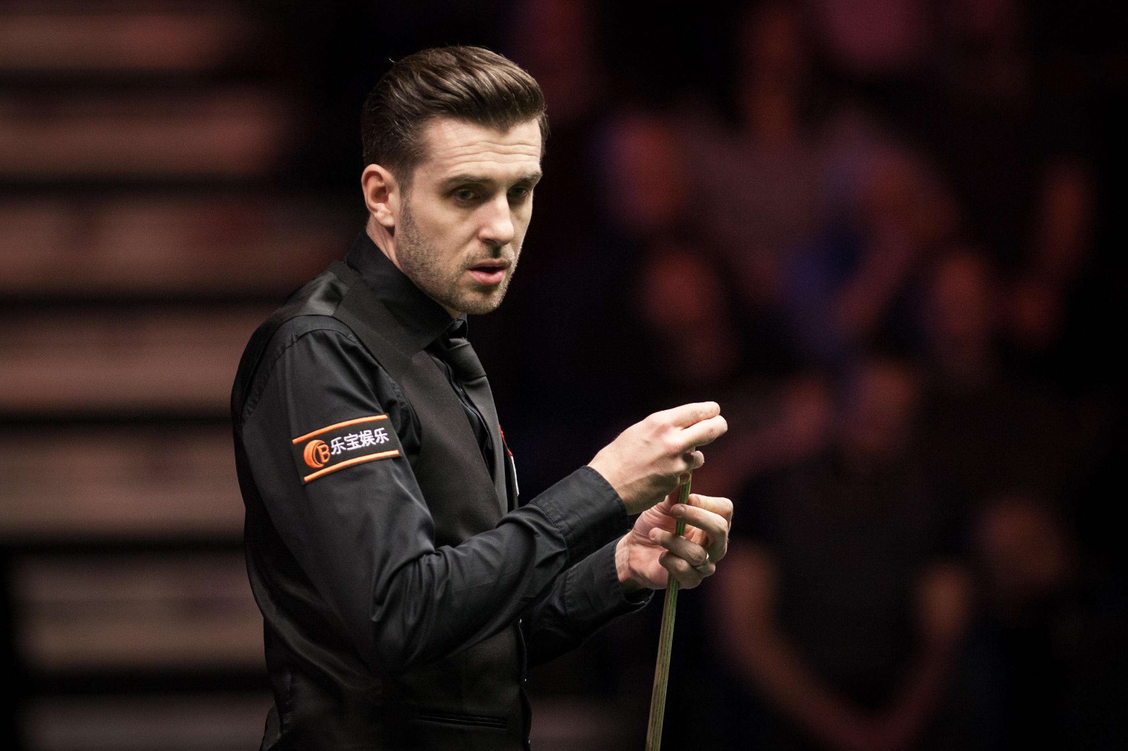 在今年的世 在今年的世